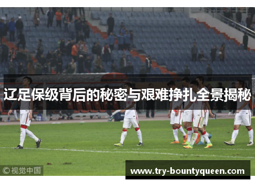 辽足保级背后的秘密与艰难挣扎全景揭秘